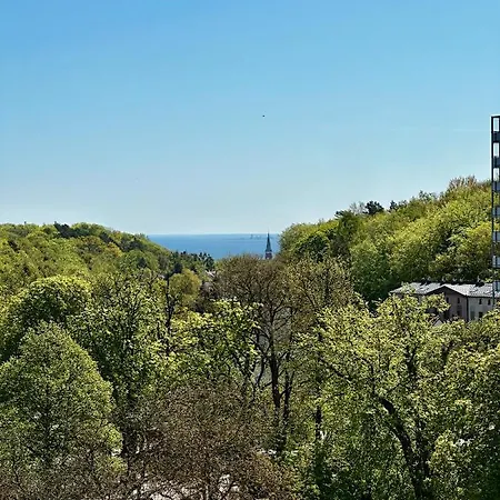 Sea By Yoca * 소포트