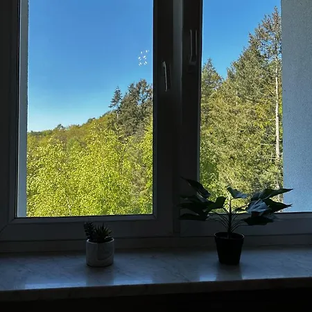 Sea By Yoca 소포트